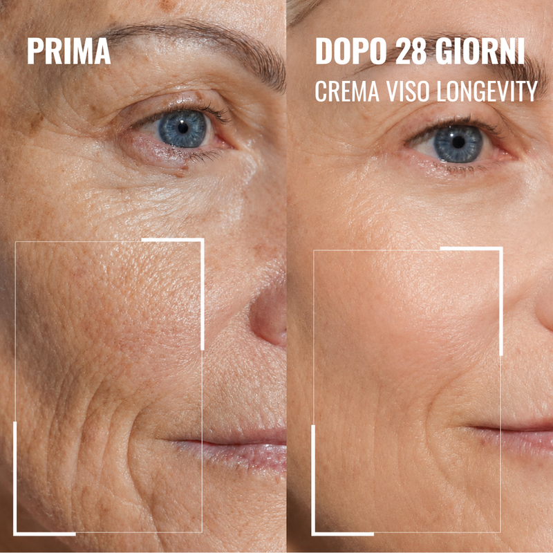 Crema Viso - Longevity Supréme